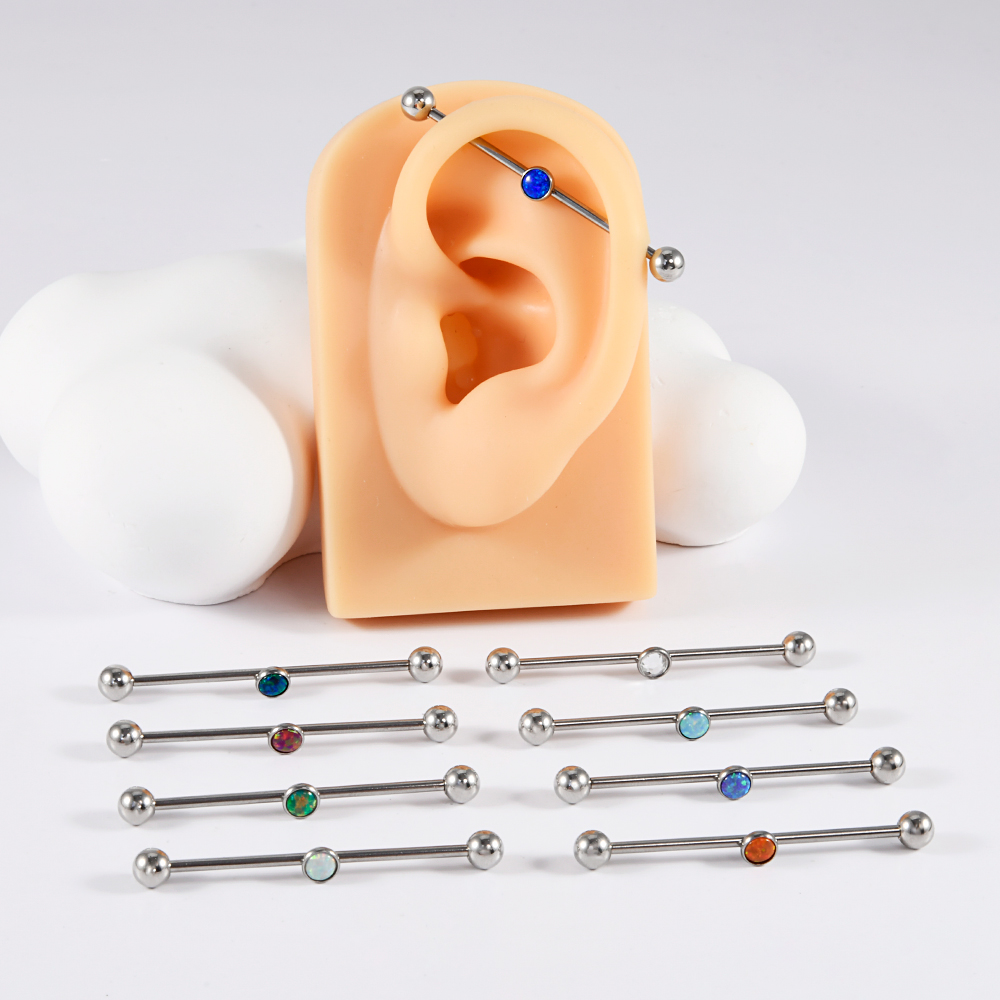 1PC Stainless Steel Industrial - đánh giá và giá Industrial Barbell Long